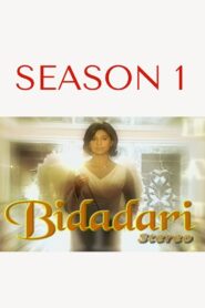 Angel: Season 1