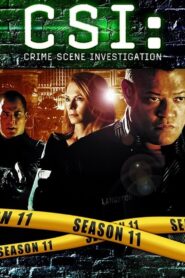 CSI: Crime Scene Investigation: Season 11